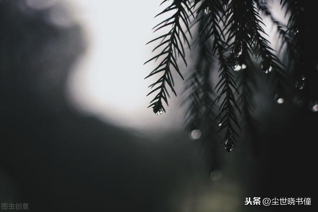 宋朝诗人张咏这首七绝《雨夜》，同样写得很孤独，道尽了思乡之苦