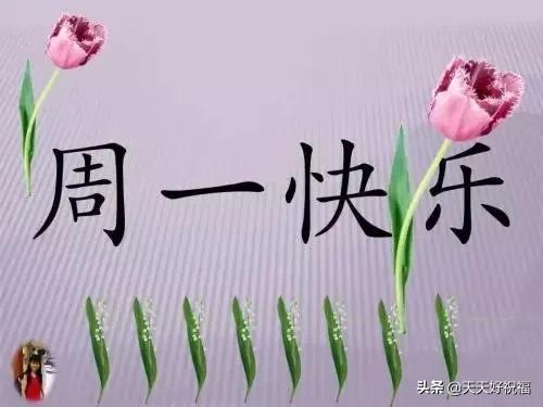 新的一周早晨正能量问候祝福语句，周一最美的早安祝福表情图片