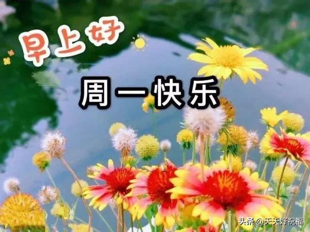 新的一周早晨正能量问候祝福语句，周一最美的早安祝福表情图片