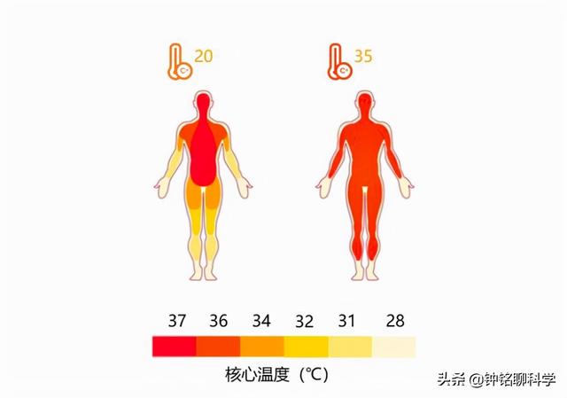 哀牢山4名队员经验丰富，为何会同时遇难？究竟遭遇了什么？