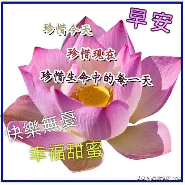 清晨发朋友圈的早安祝福问候语，清晨最美早安问候祝福语温馨短句