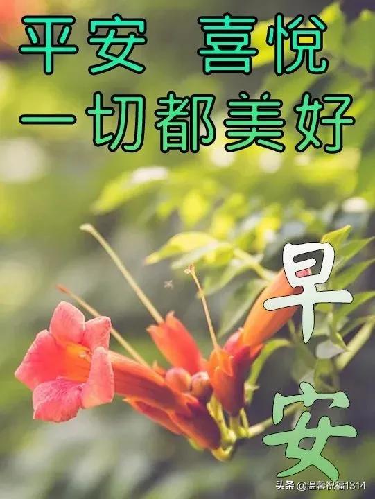 清晨发朋友圈的早安祝福问候语，清晨最美早安问候祝福语温馨短句