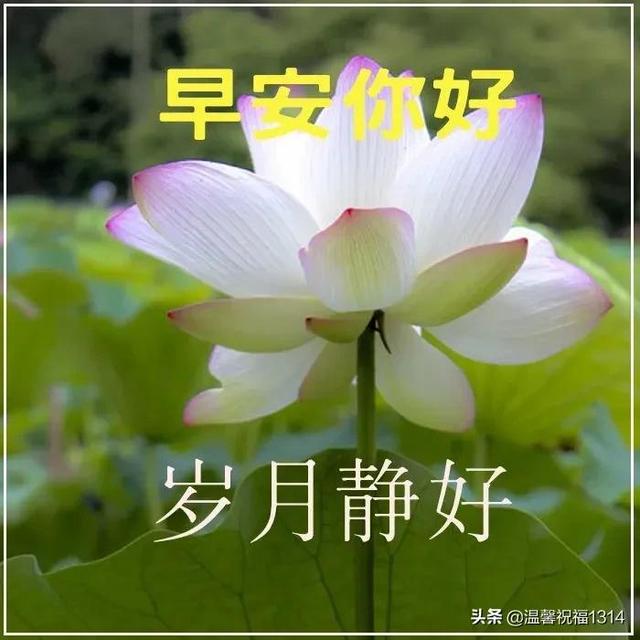 清晨发朋友圈的早安祝福问候语，清晨最美早安问候祝福语温馨短句