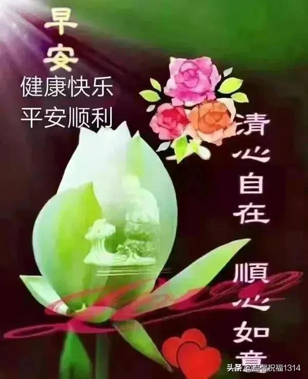 清晨发朋友圈的早安祝福问候语，清晨最美早安问候祝福语温馨短句