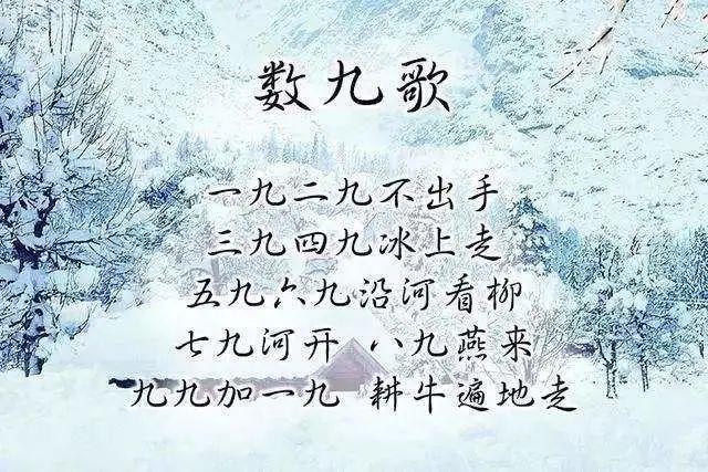 九就是“久”四就是“死”？数字的寓意可不止谐音梗