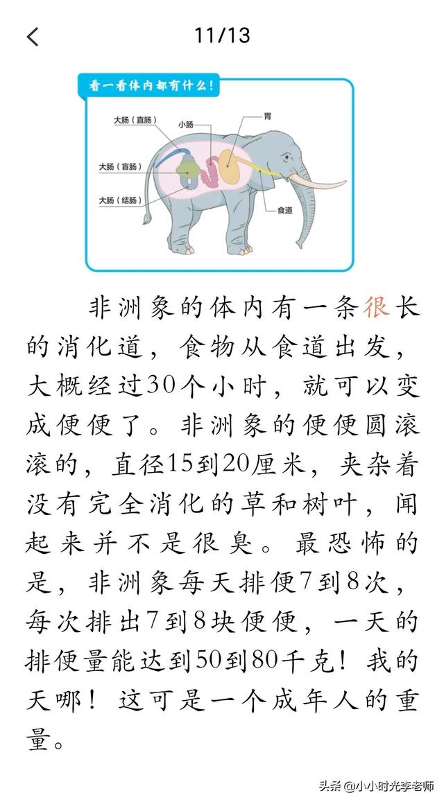 自然的故事-动物在说话《各式各样的便便》