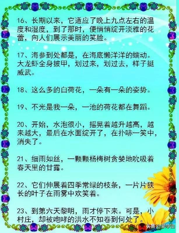 48个“拟人句”，句句是亮点，让孩子的作文锦上添花！