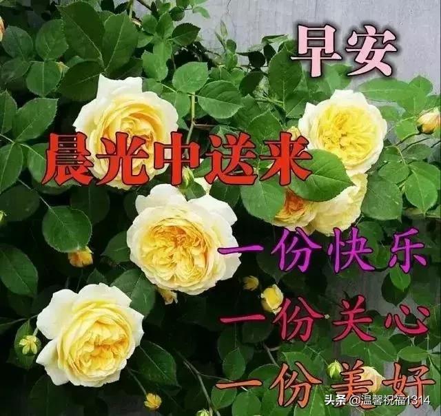 心怀感恩，幸福常在。快乐属于知足者，幸福属于感恩者。早安