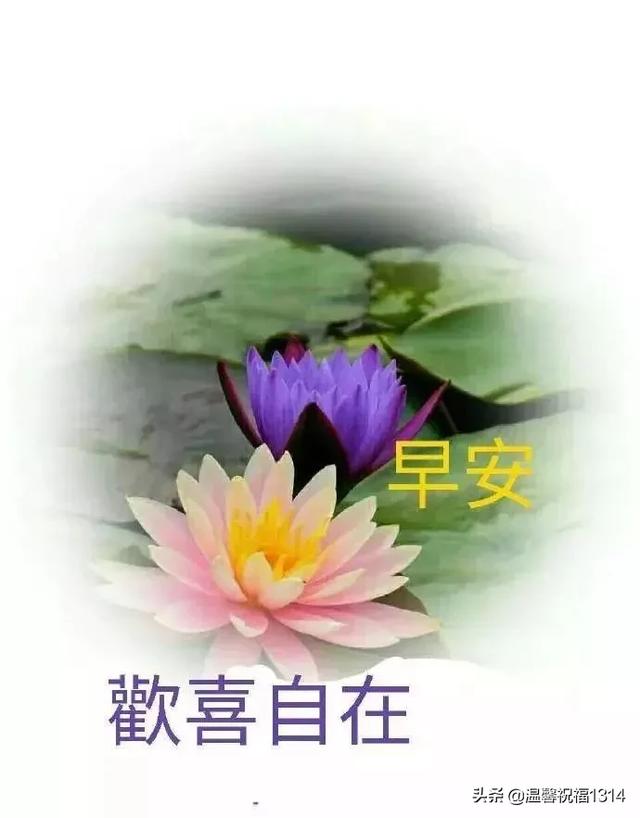 心怀感恩，幸福常在。快乐属于知足者，幸福属于感恩者。早安