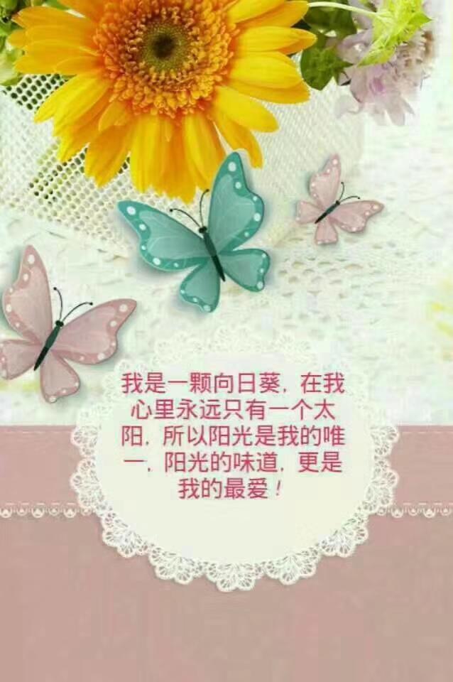 关于时间的唯美句子，无与伦比，温柔了岁月