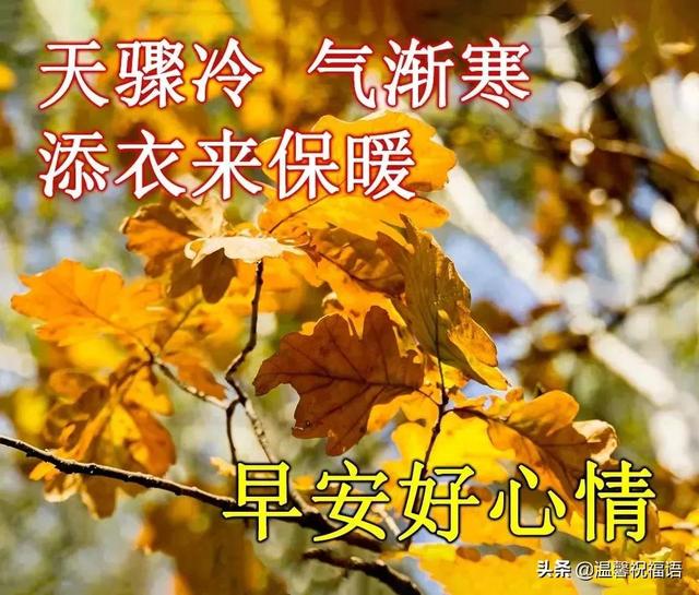 最新创意唯美的冬日早安祝福图片带字温馨 早上好问候图片文字精选