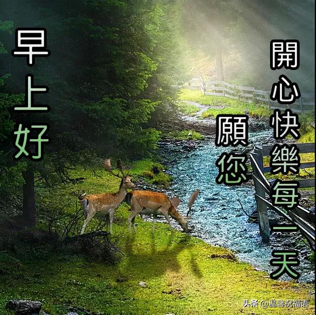 最新创意唯美的冬日早安祝福图片带字温馨 早上好问候图片文字精选