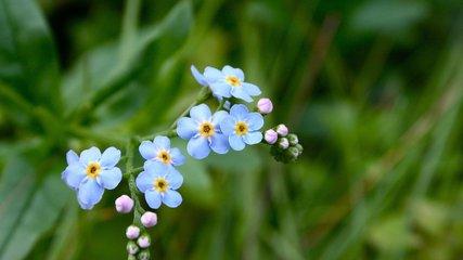 短短十首禅意诗，写尽人世无常！看尽世间百态！