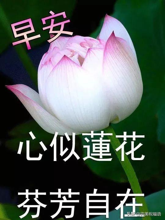 朋友圈温馨祝福语录慰问朋友暖心句子，微信早安文字祝福图片大全