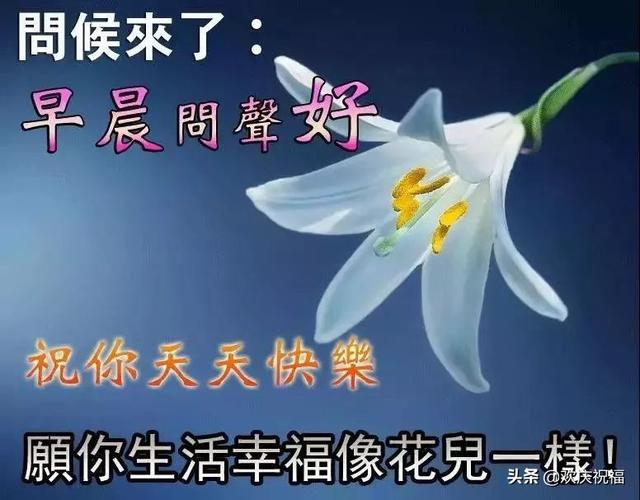 12月最新每日清晨问候大家的祝福语句，句句经典温暖人心