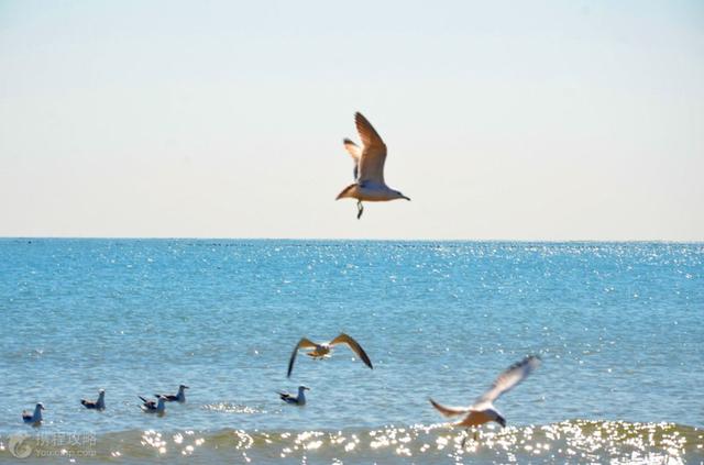 夏天就该去看海！国内这些好玩的海边，你可能只听过第一个！