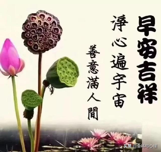 非常特别很温馨的早安祝福短信大全 送朋友们的早安祝福说说句子