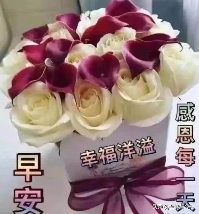 非常特别很温馨的早安祝福短信大全 送朋友们的早安祝福说说句子