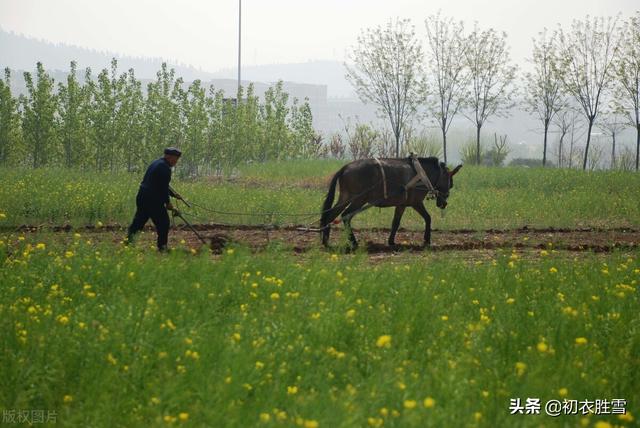 父亲节关于父亲的古诗五首，汝父年来实鲜欢，父亲的责任与情怀