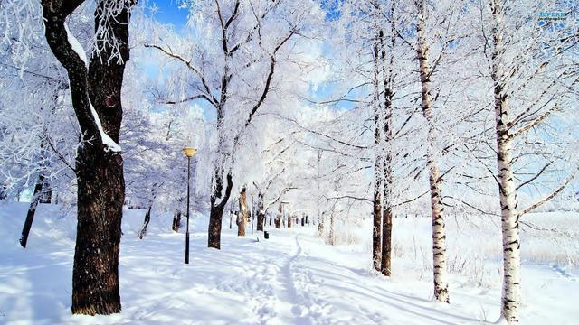 下雪天发朋友圈的小短句，唯美走心，总有一句让你心仪！