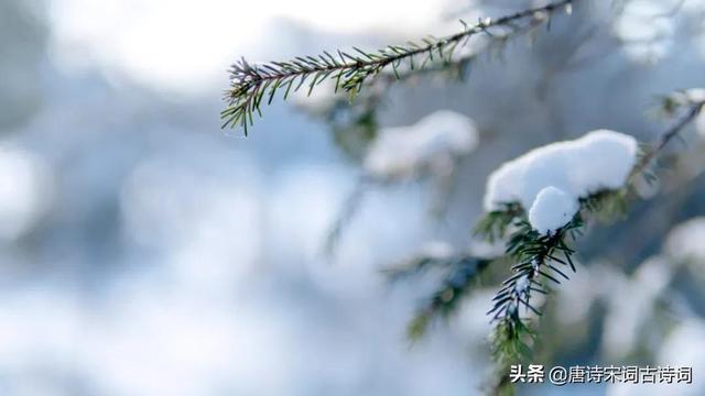 品读雪的那些美称，令人心醉不已