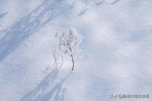 品读雪的那些美称，令人心醉不已