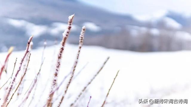 品读雪的那些美称，令人心醉不已