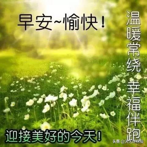 朋友圈温馨祝福语慰问朋友的暖心句子，微信早安文字祝福图片大全