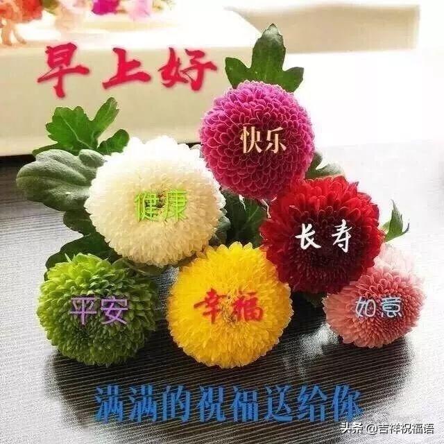 清晨问候大家早上好的早安祝福语图片，最新早上好问候祝福语短信