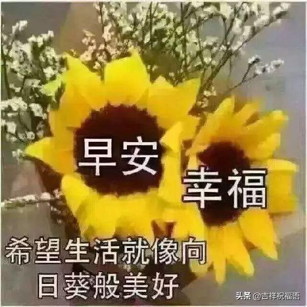 清晨问候大家早上好的早安祝福语图片，最新早上好问候祝福语短信