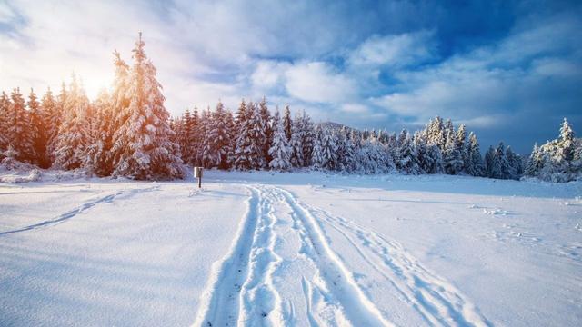 八首冬日雪诗，读完心中暖暖的