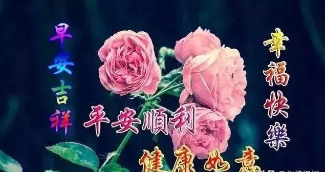 友不言挚爱，友情谊深心心相连，祝朋友：身体健康事业旺，早安