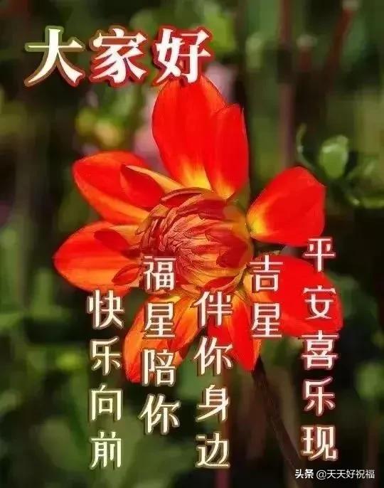 微信日常祝福语短信大全，4月最新版早上好日常问候语大全