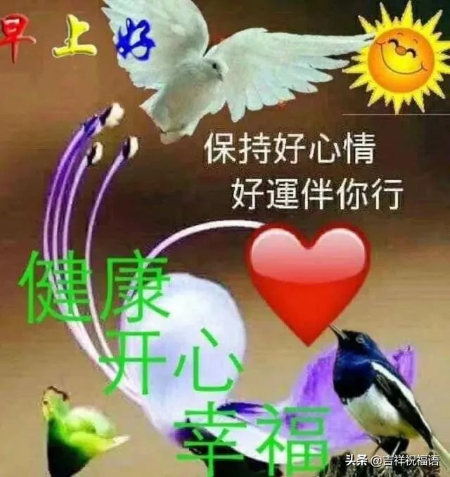 只要懂得感恩，就有灿烂阳光；只要心存美好，就会满园花香！早安