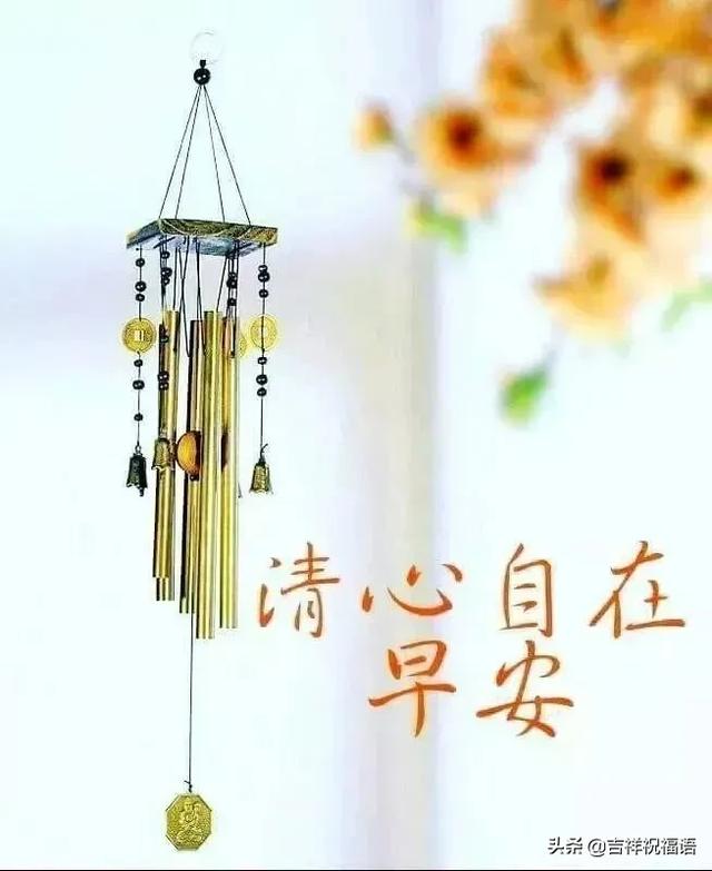 只要懂得感恩，就有灿烂阳光；只要心存美好，就会满园花香！早安