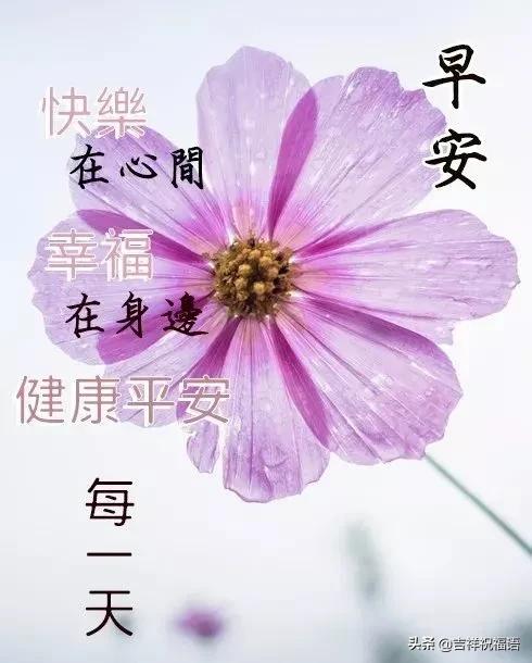 只要懂得感恩，就有灿烂阳光；只要心存美好，就会满园花香！早安