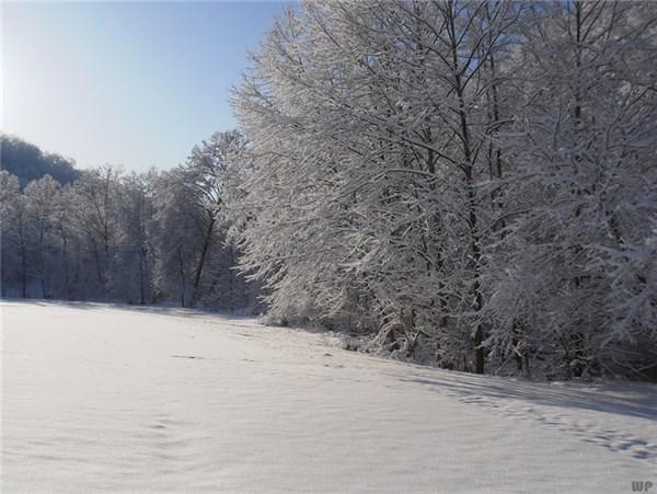 最全下雪天心情说说，浪漫、文艺、伤感、幽默……总有一句你喜欢的