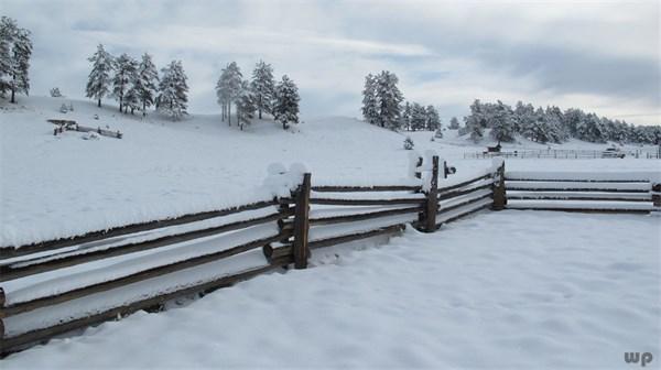 最全下雪天心情说说，浪漫、文艺、伤感、幽默……总有一句你喜欢的