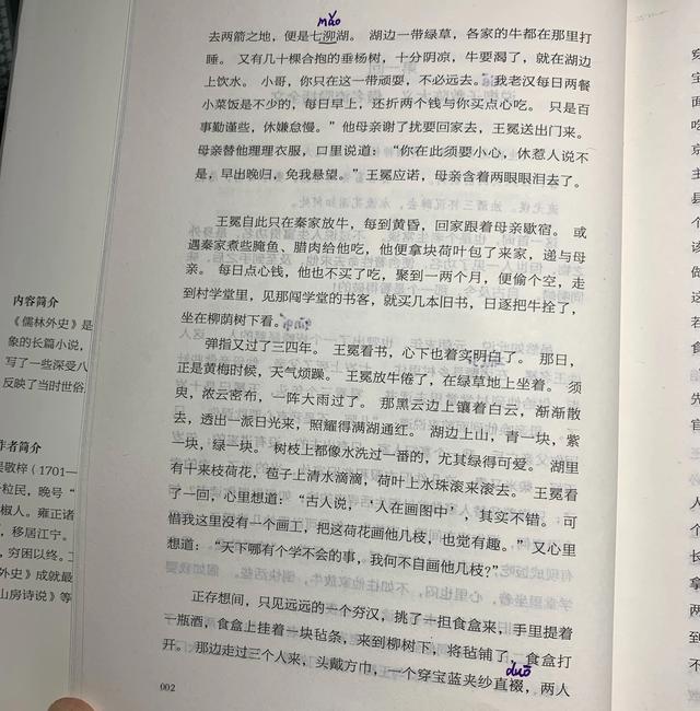 《儒林外史》读书笔记（一）