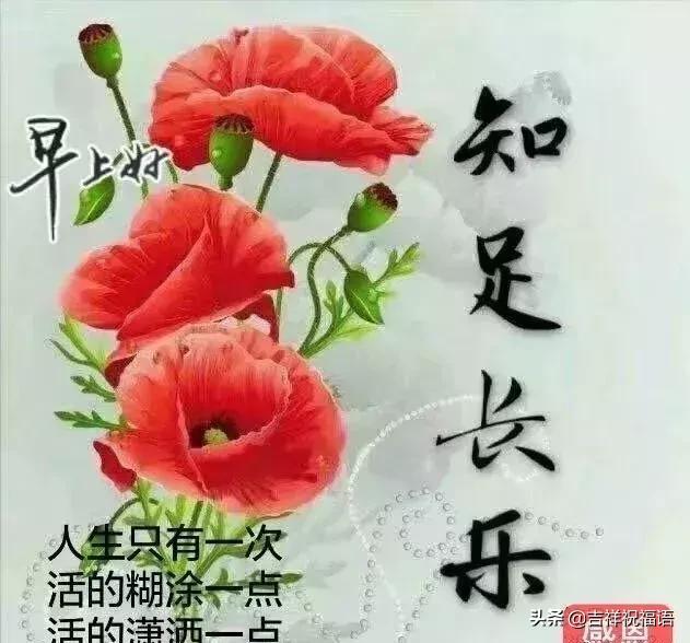 美好的一天开始，愿你能向日葵一样，迎着阳光向上！早安