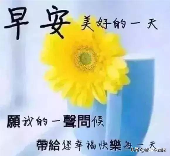 美好的一天开始，愿你能向日葵一样，迎着阳光向上！早安