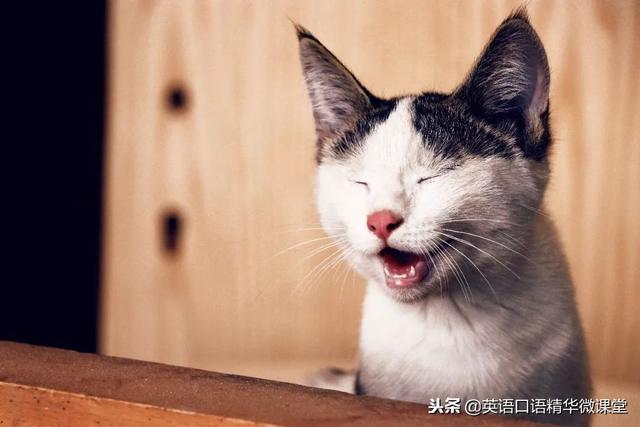 除了“funny”，还能怎么形容一个人幽默？