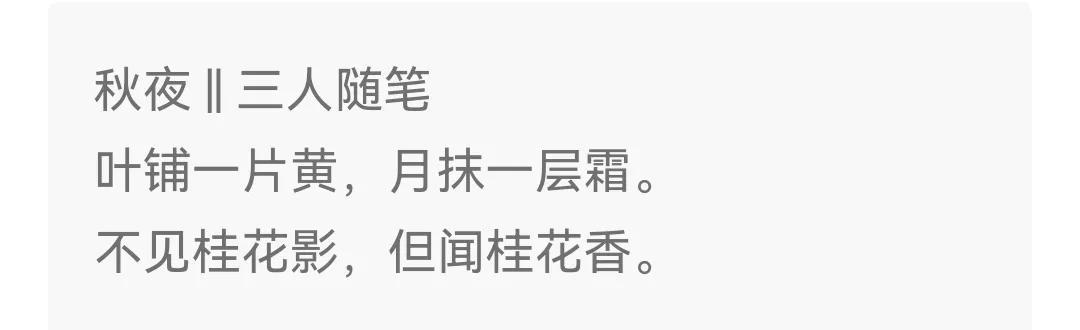 今天就不说别人的诗了，让大家来说说，我写的八首诗吧