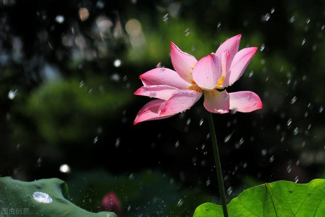 “疏雨池塘见，微风襟袖知”5首下雨的古诗词，太应景了