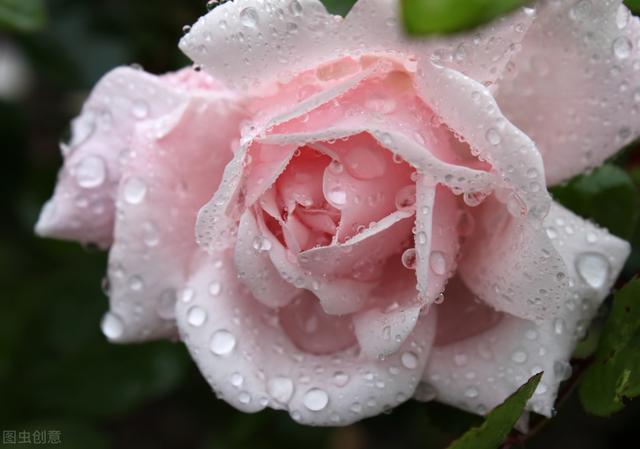 “疏雨池塘见，微风襟袖知”5首下雨的古诗词，太应景了