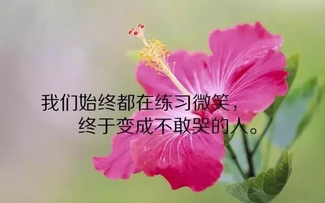 好心态好心情的句子，心若诗意，一切皆会美好