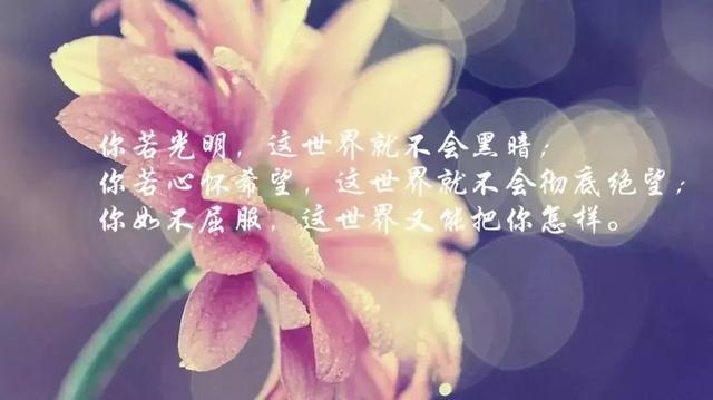 好心态好心情的句子，心若诗意，一切皆会美好