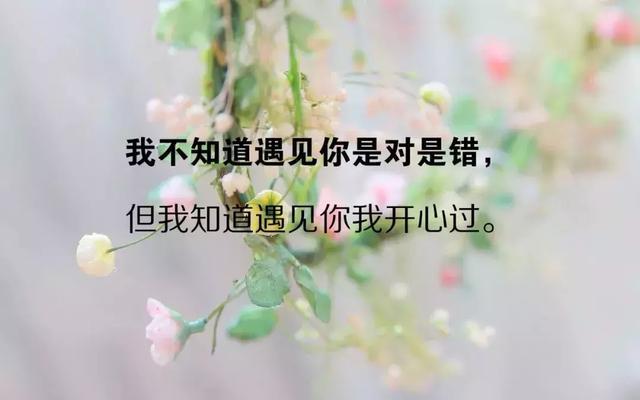 好心态好心情的句子，心若诗意，一切皆会美好