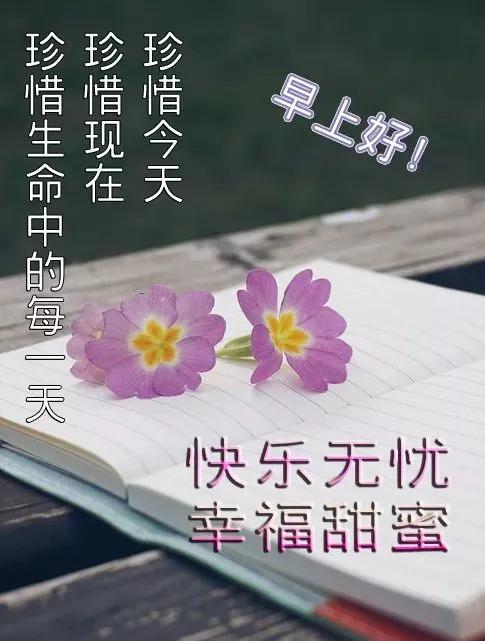 心怀感恩，幸福常在。快乐属于知足者，幸福属于感恩者，早安