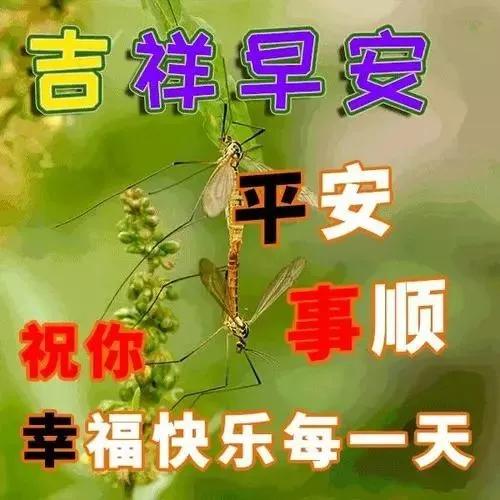 心怀感恩，幸福常在。快乐属于知足者，幸福属于感恩者，早安